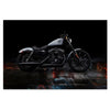 Tableau Harley 883 - Motard Passion